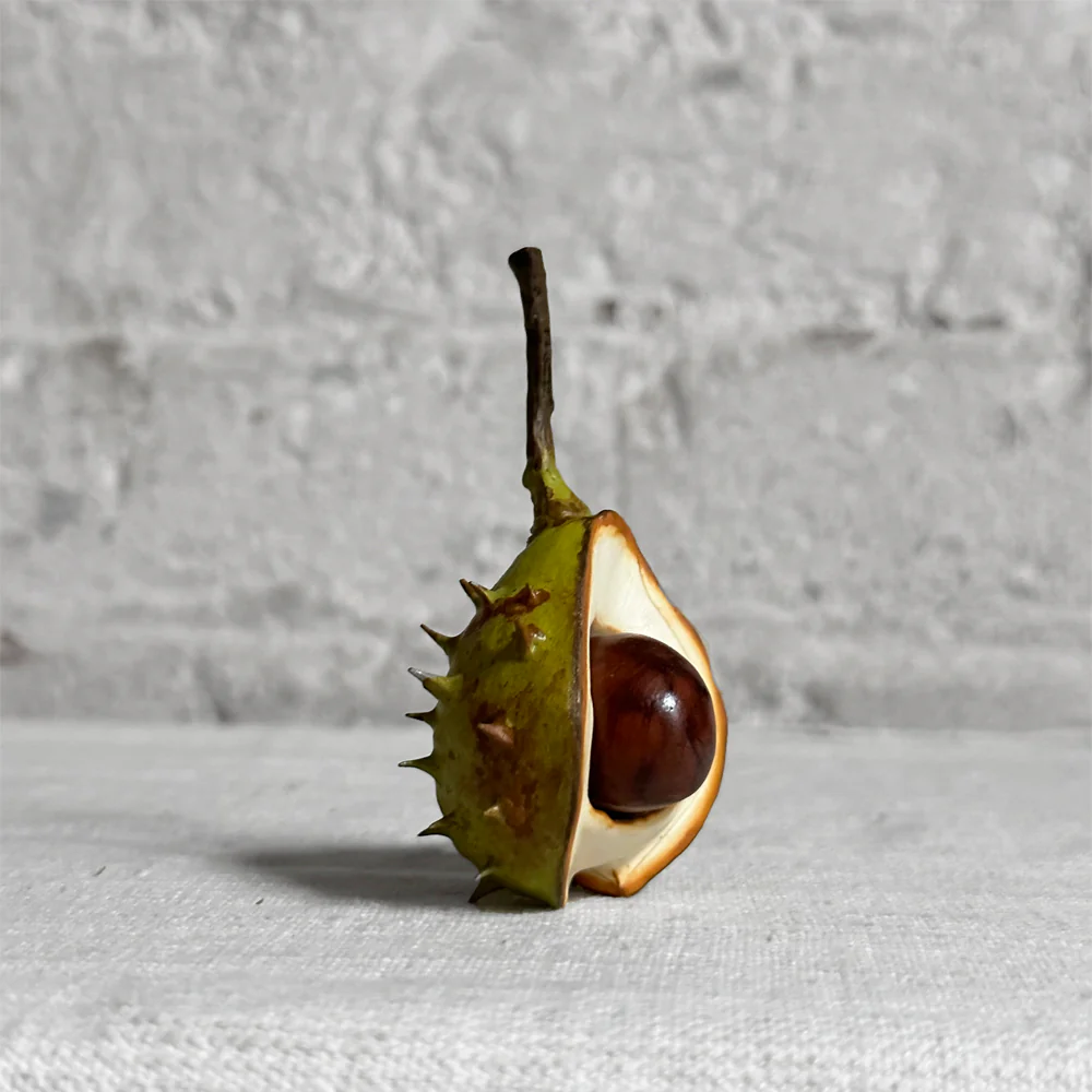 Porcelain Baby Horsechestnut Half Shell with Removable Nut & Stem