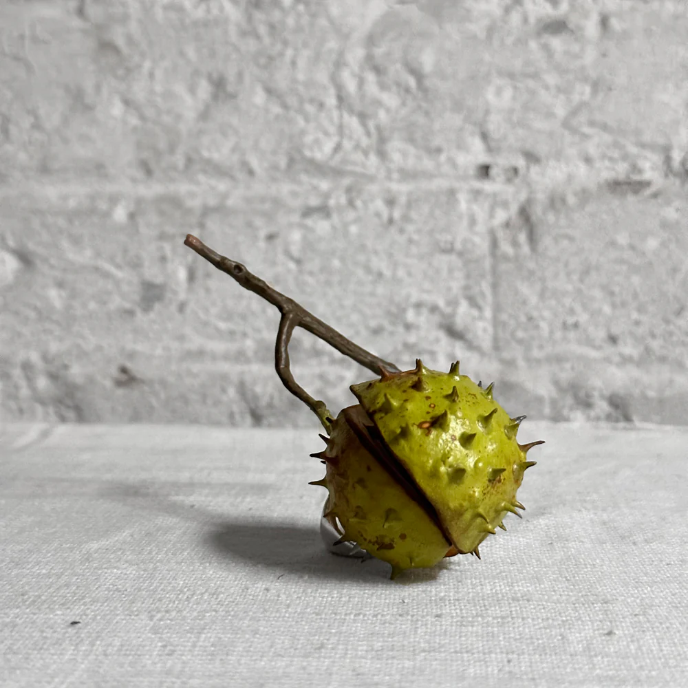 Porcelain Baby Horsechestnut Half Shell with Two Removable Nuts & Lid on Twig - Image 3