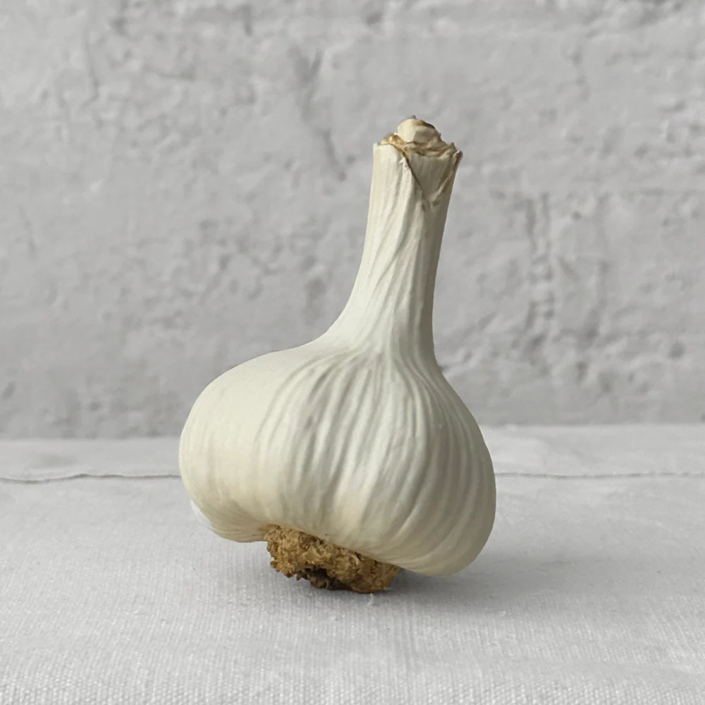 Porcelain Tall White Garlic