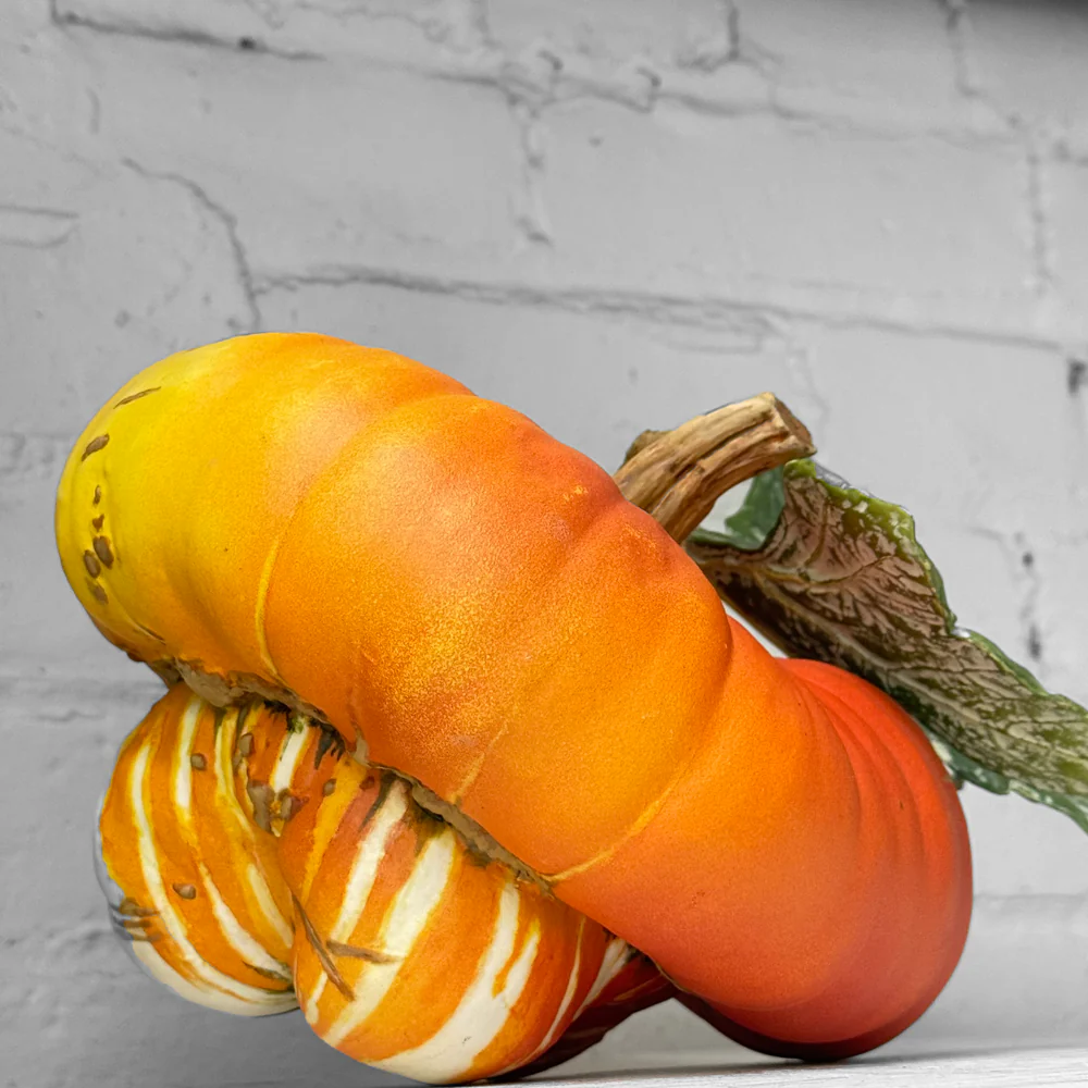 Porcelain Turban Squash with Leaf - Image 3