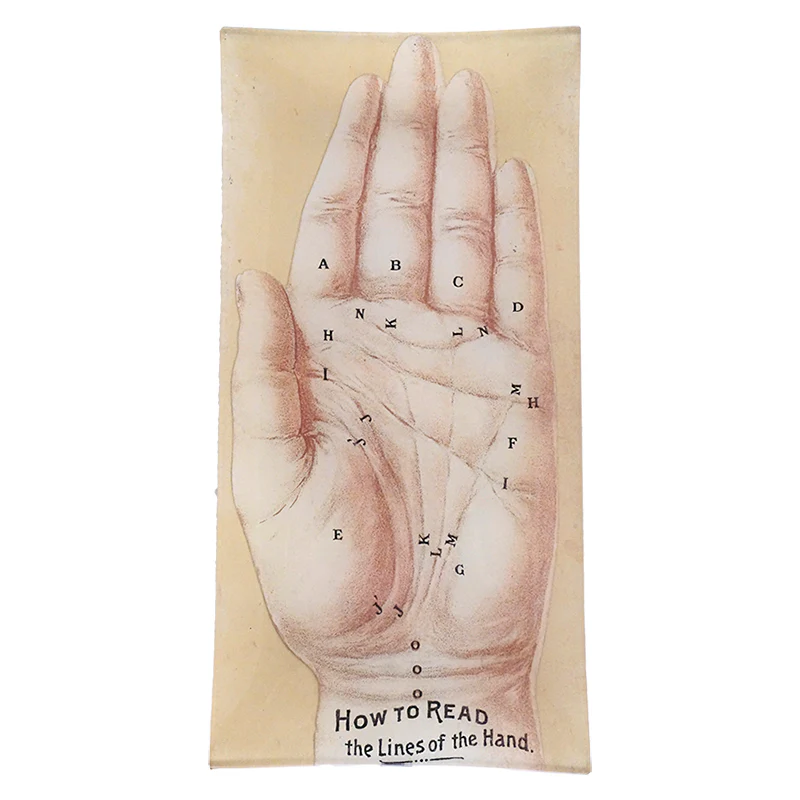 Lines of the Hand
