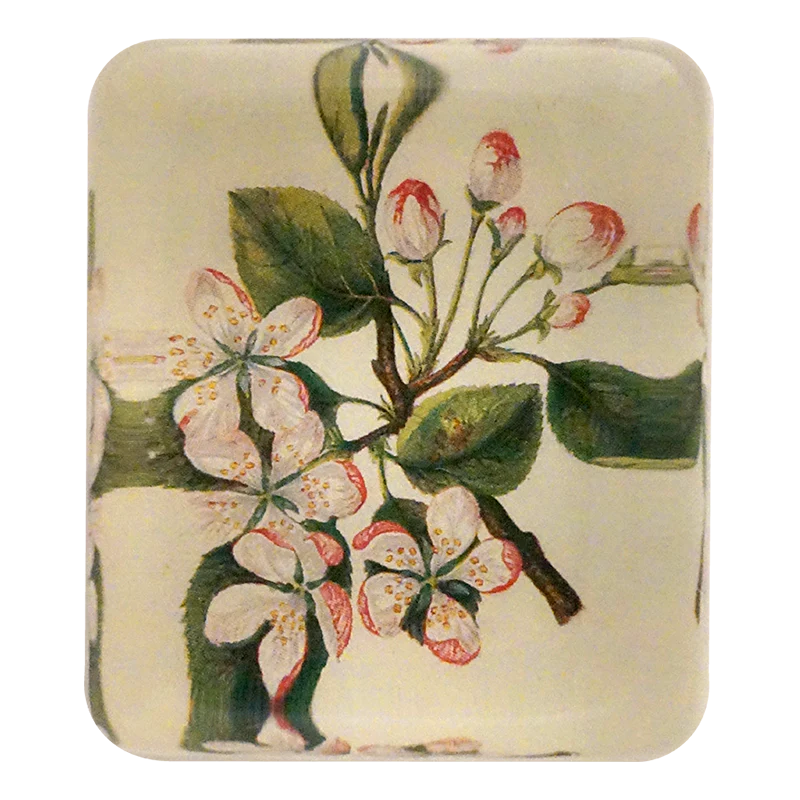Crab Apple