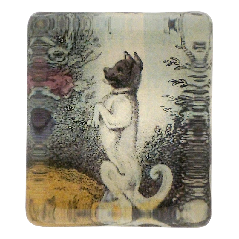 Dog (with Boy)