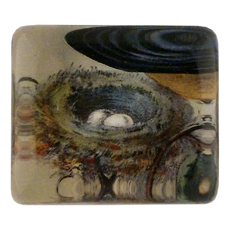 Hummingbird Nest