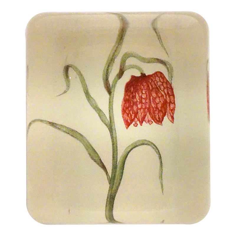 Fritillary