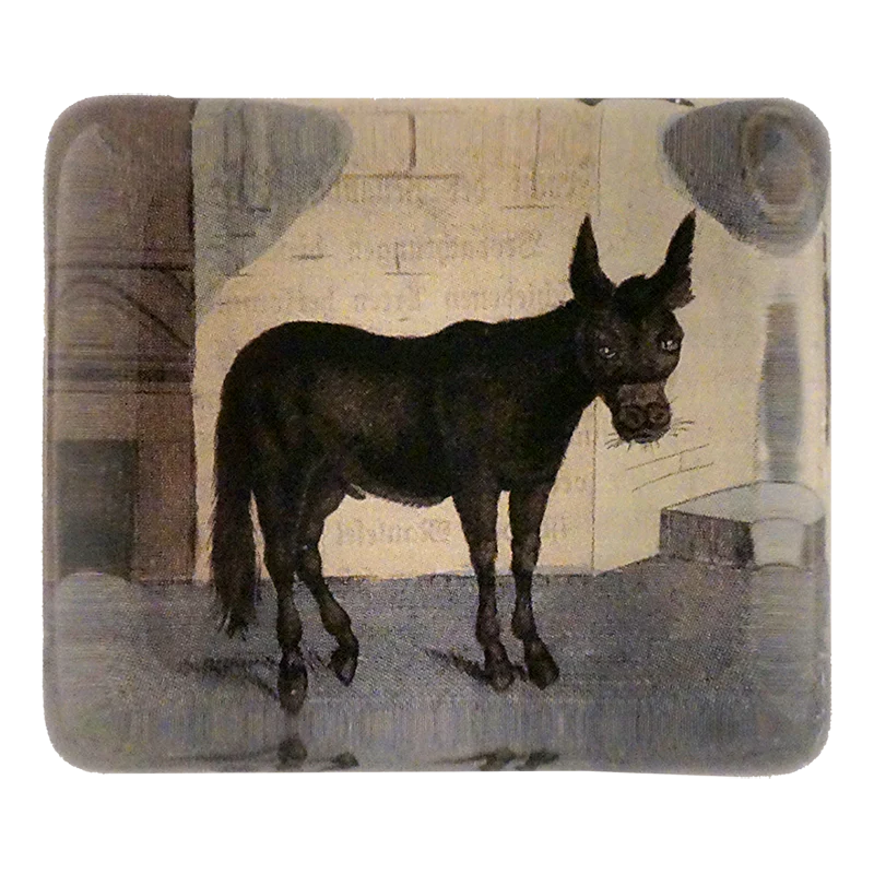 Mule