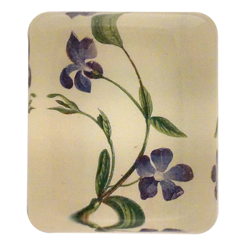 Periwinkle