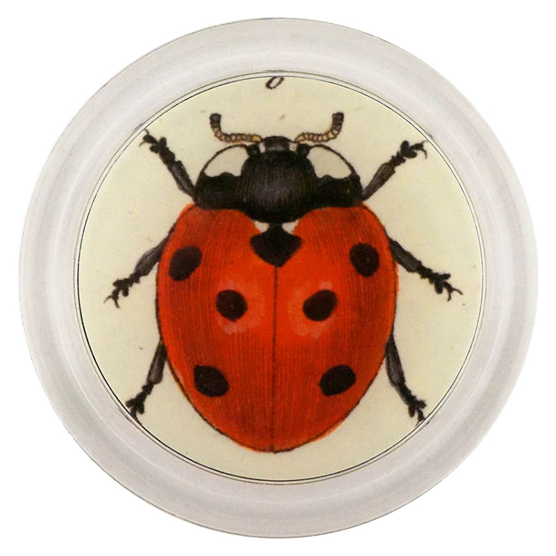Red Ladybug