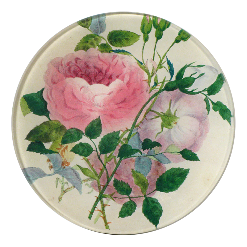 Rose Sprig
