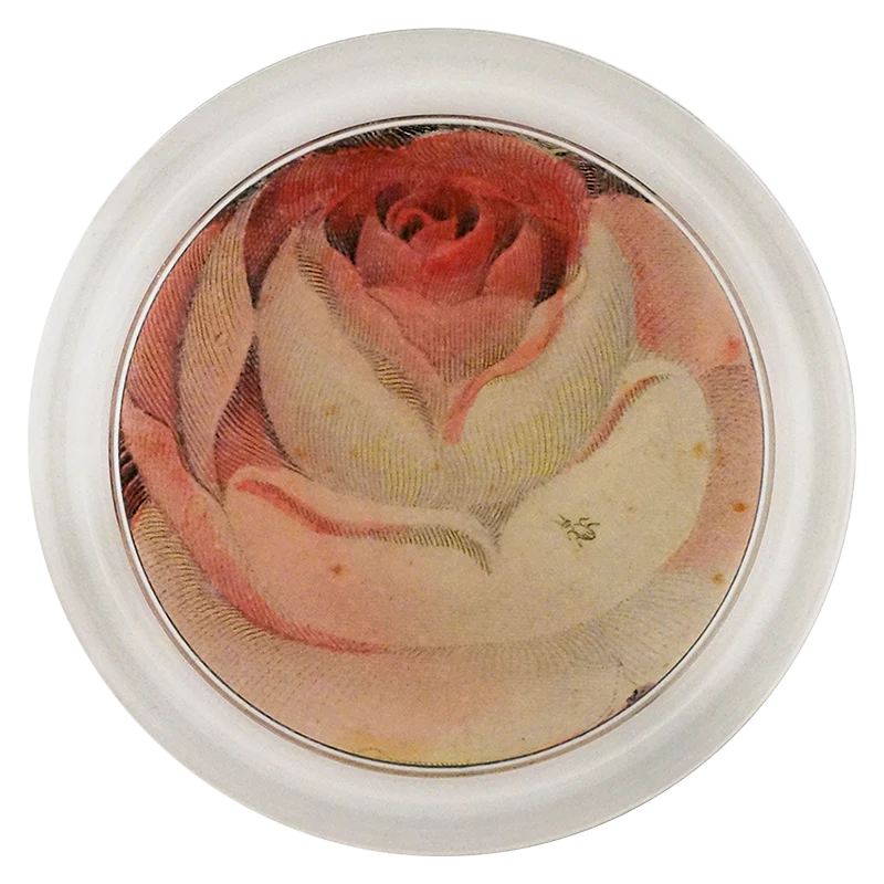 Rose with Ant