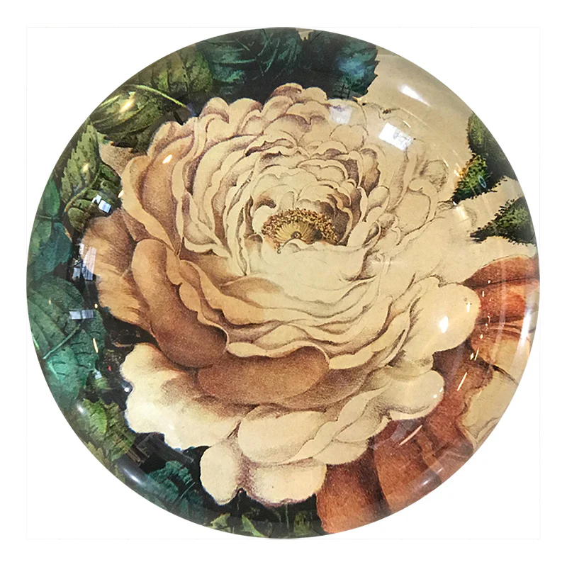 Sepia Rose