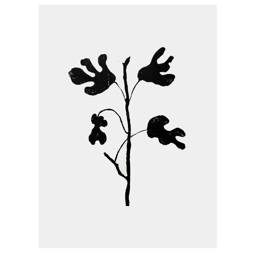Fig Tree