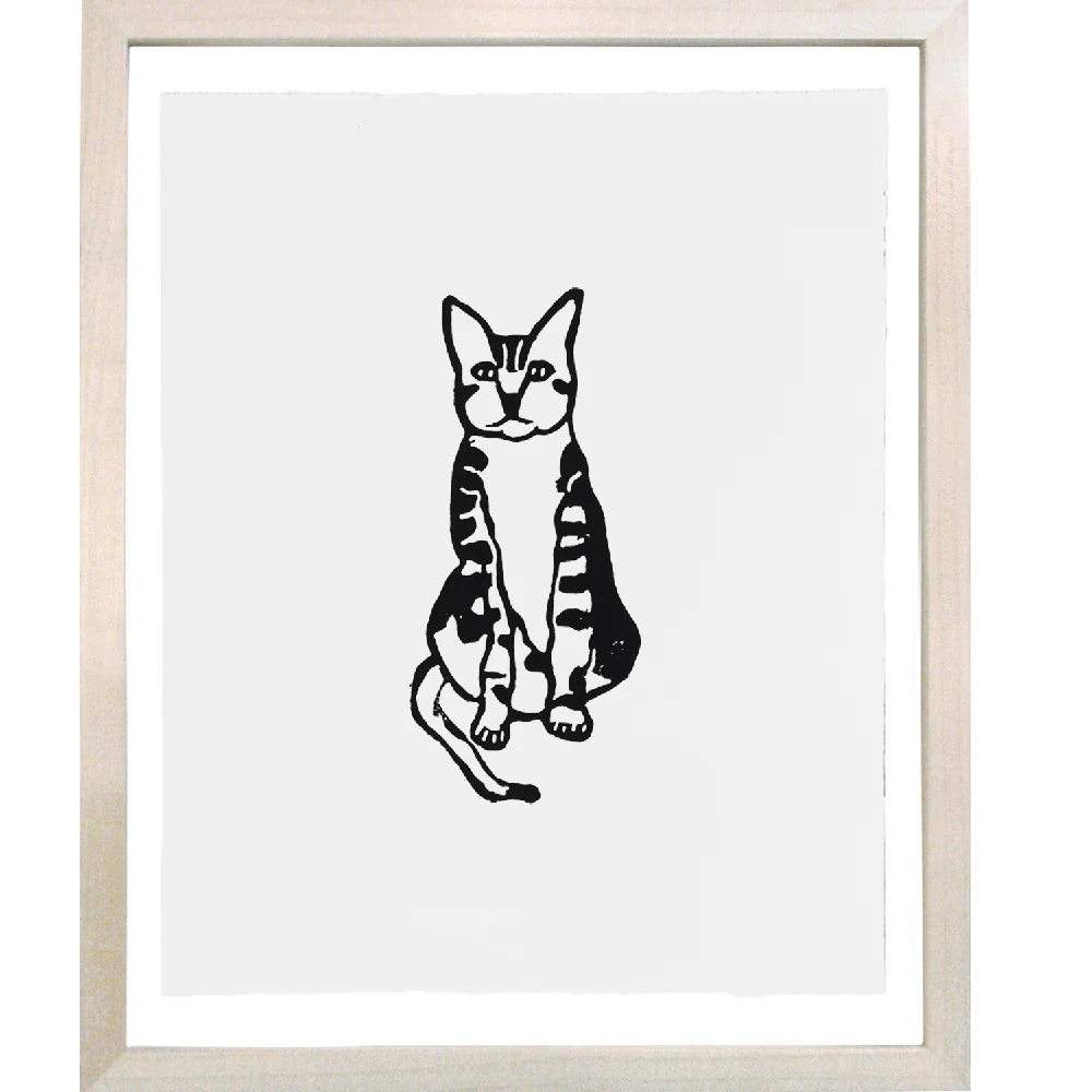 Tabby Cat