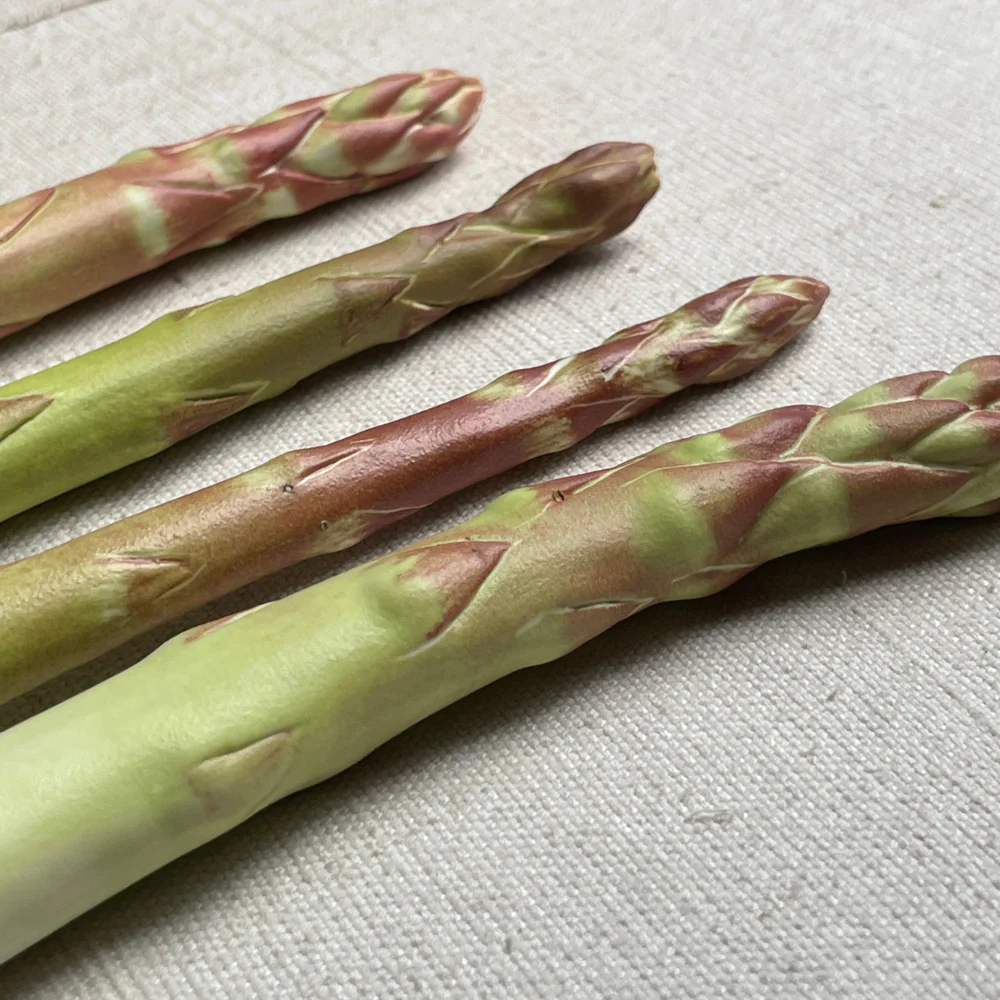 Single Porcelain Asparagus - Image 2