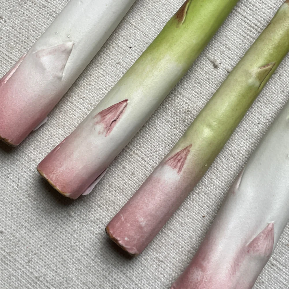 Single Porcelain Asparagus - Image 3