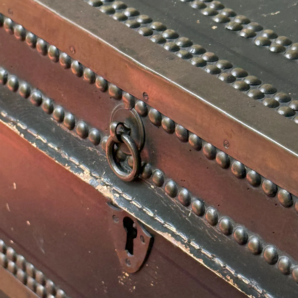 19th-century China Trade Leather Camphor Chest with Paper Lining (# 3) - Image 9
