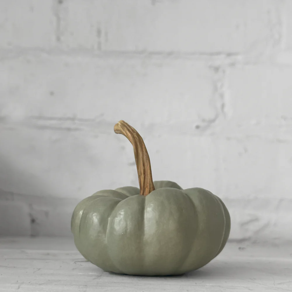 Baby Crown Prince Porcelain Squash - Image 2