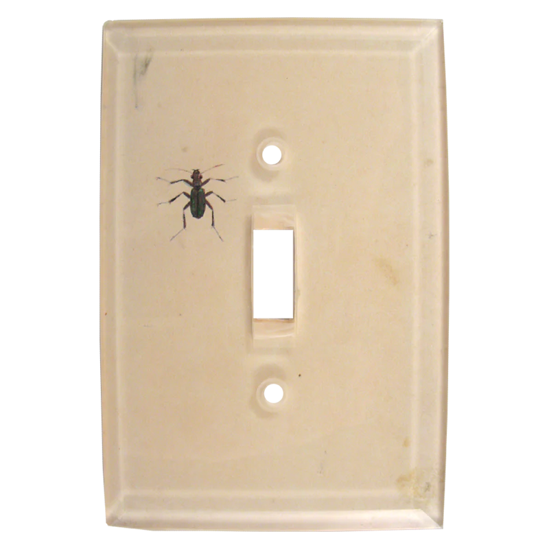 Dark Bug