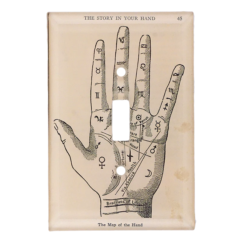 Map of the Hand - Image 3