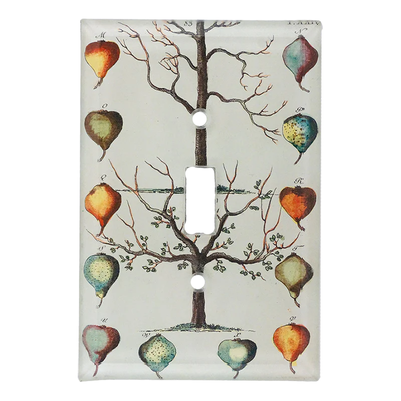 Pears Tree