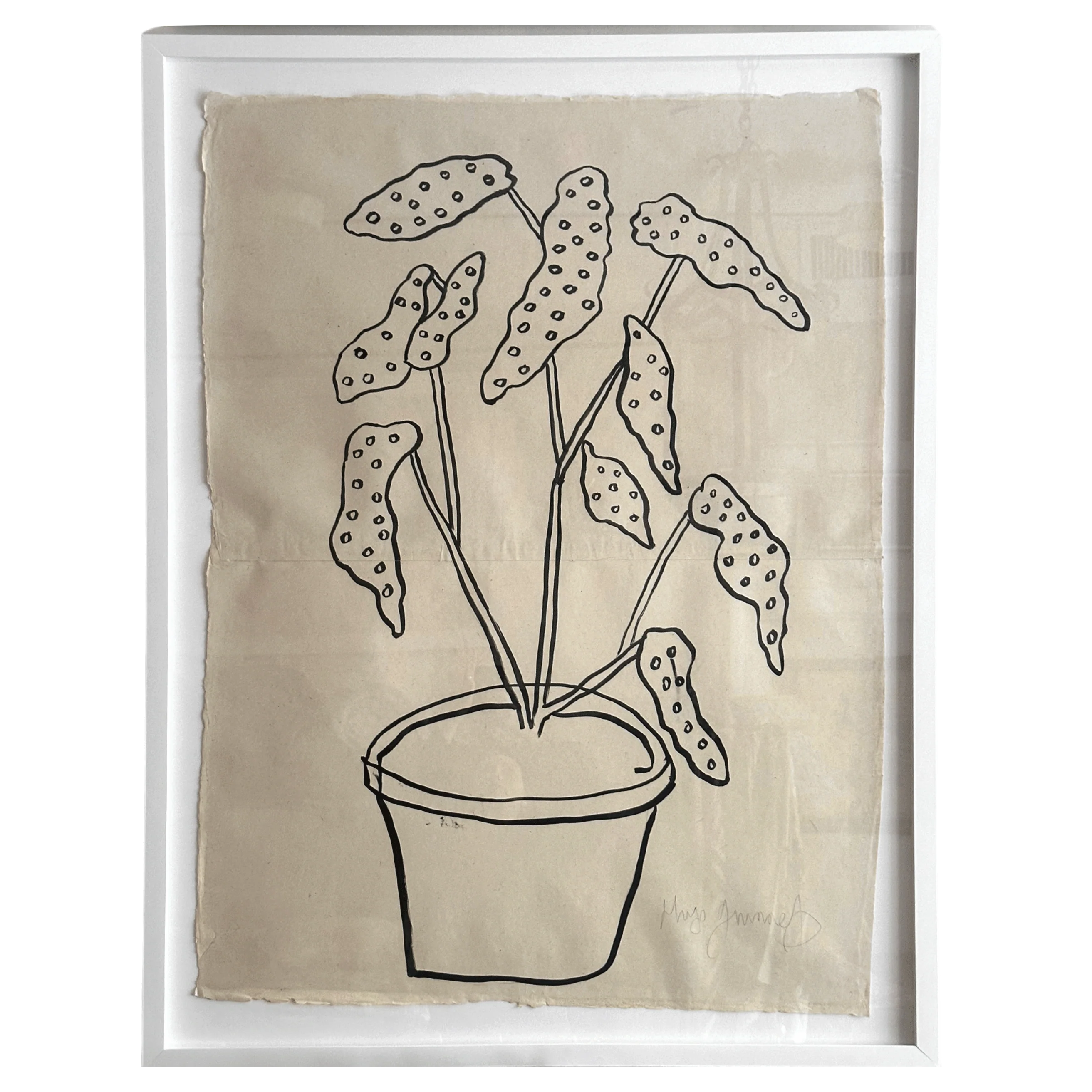 "Spotted Plant"