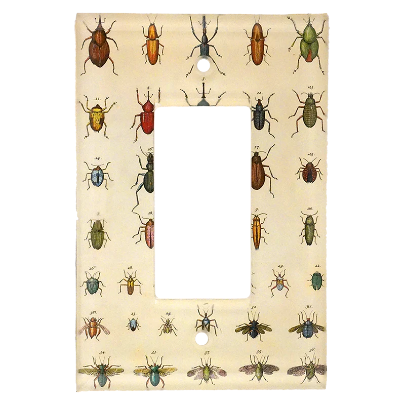Torn Insects