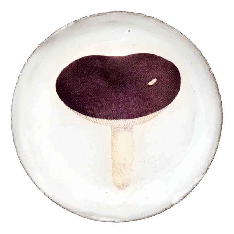 Agaric Emetique Saucer
