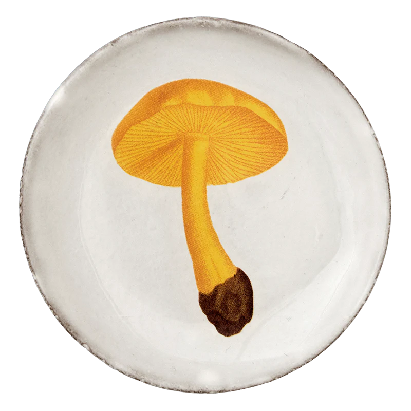 Agaric Couleur de Soufre Saucer