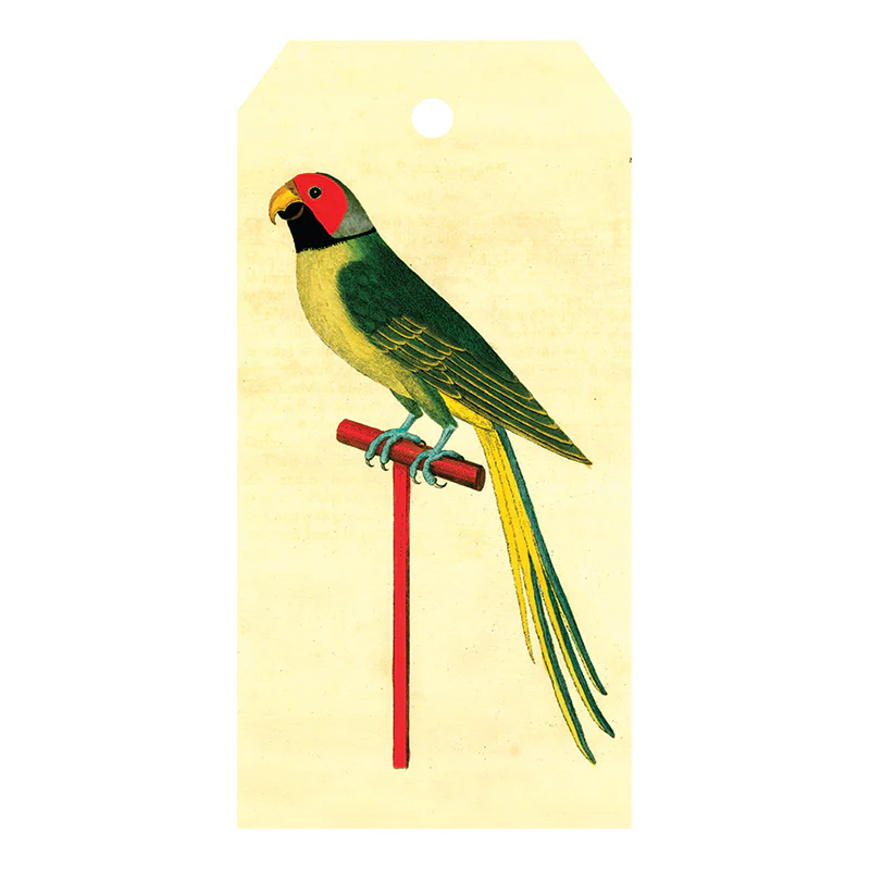 Paroquet from Bengal