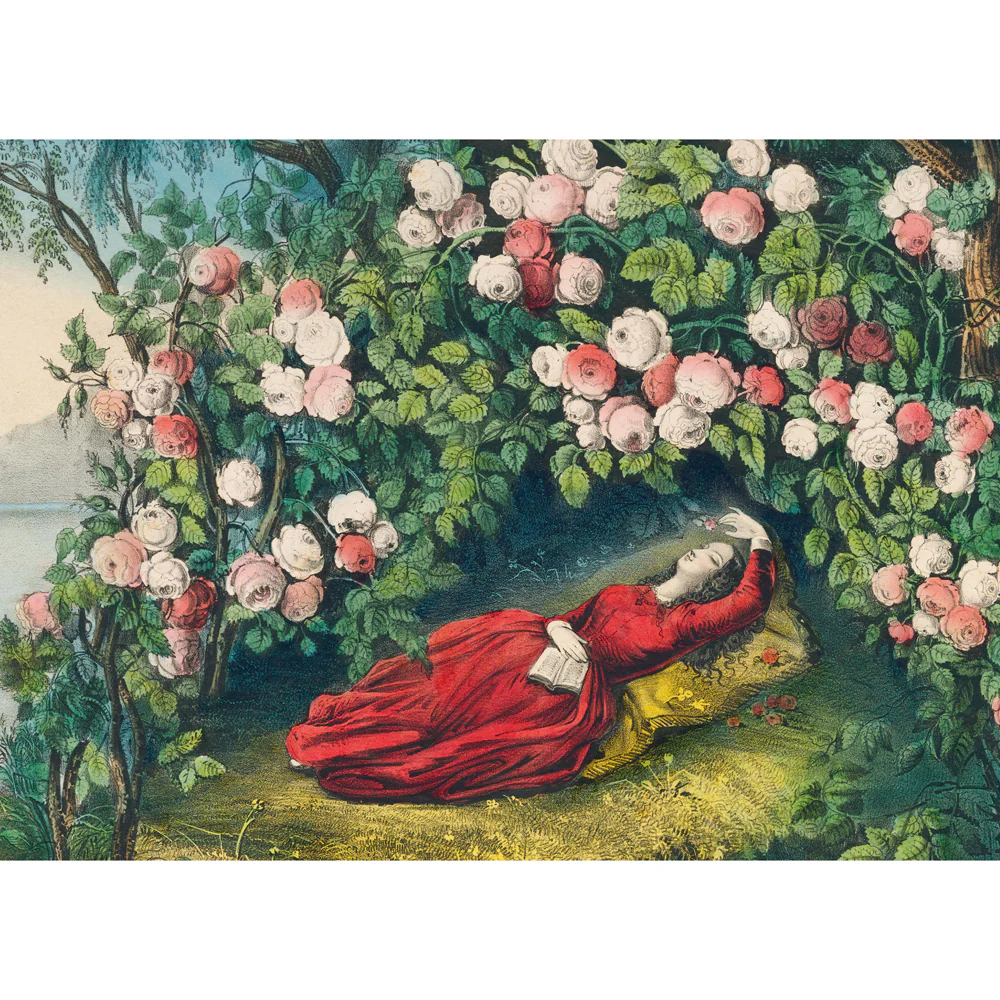 The Bower of Roses - Image 3