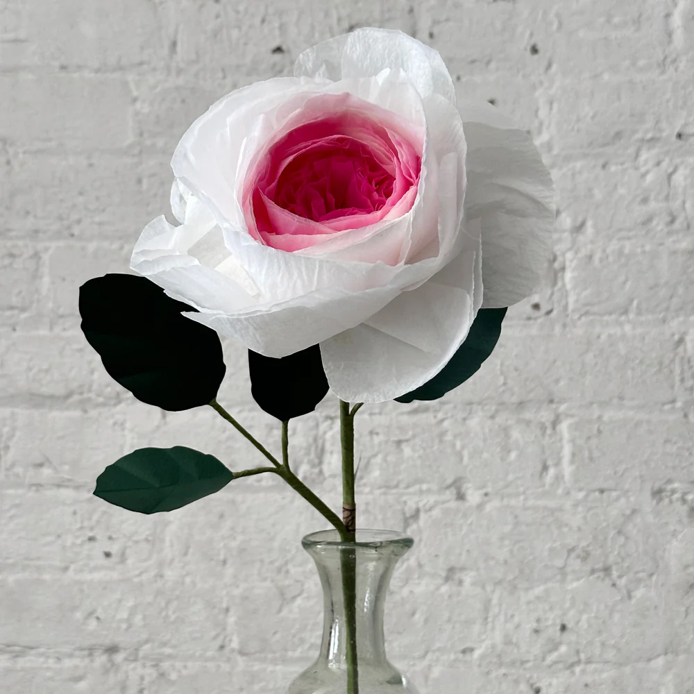The Green Vase Chevalier Rose Stem (No. 2)