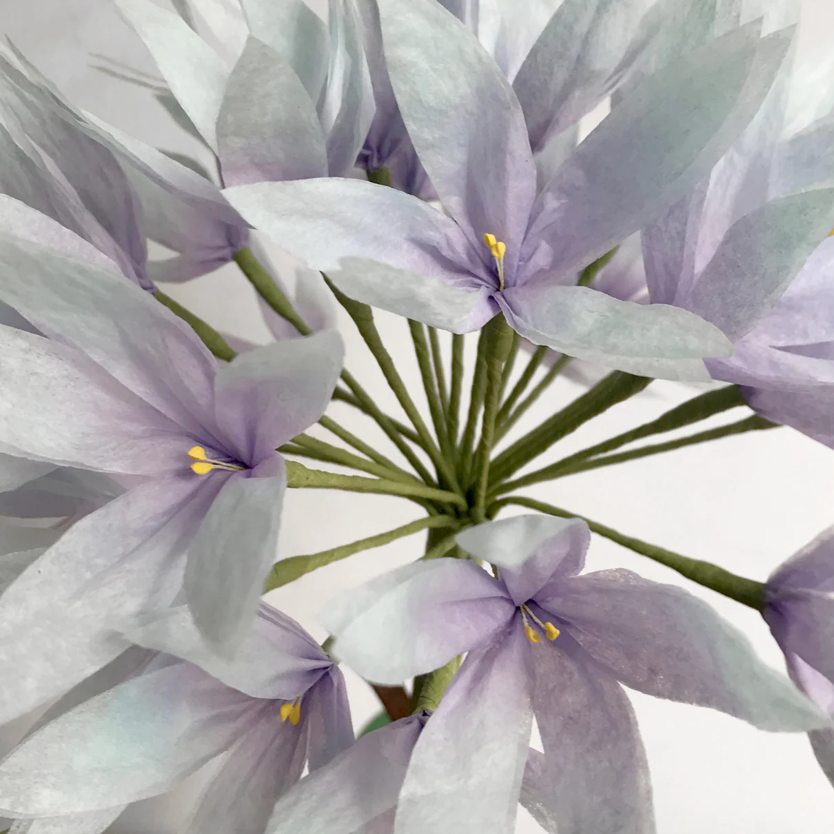 The Green Vase Potted Allium - Image 2