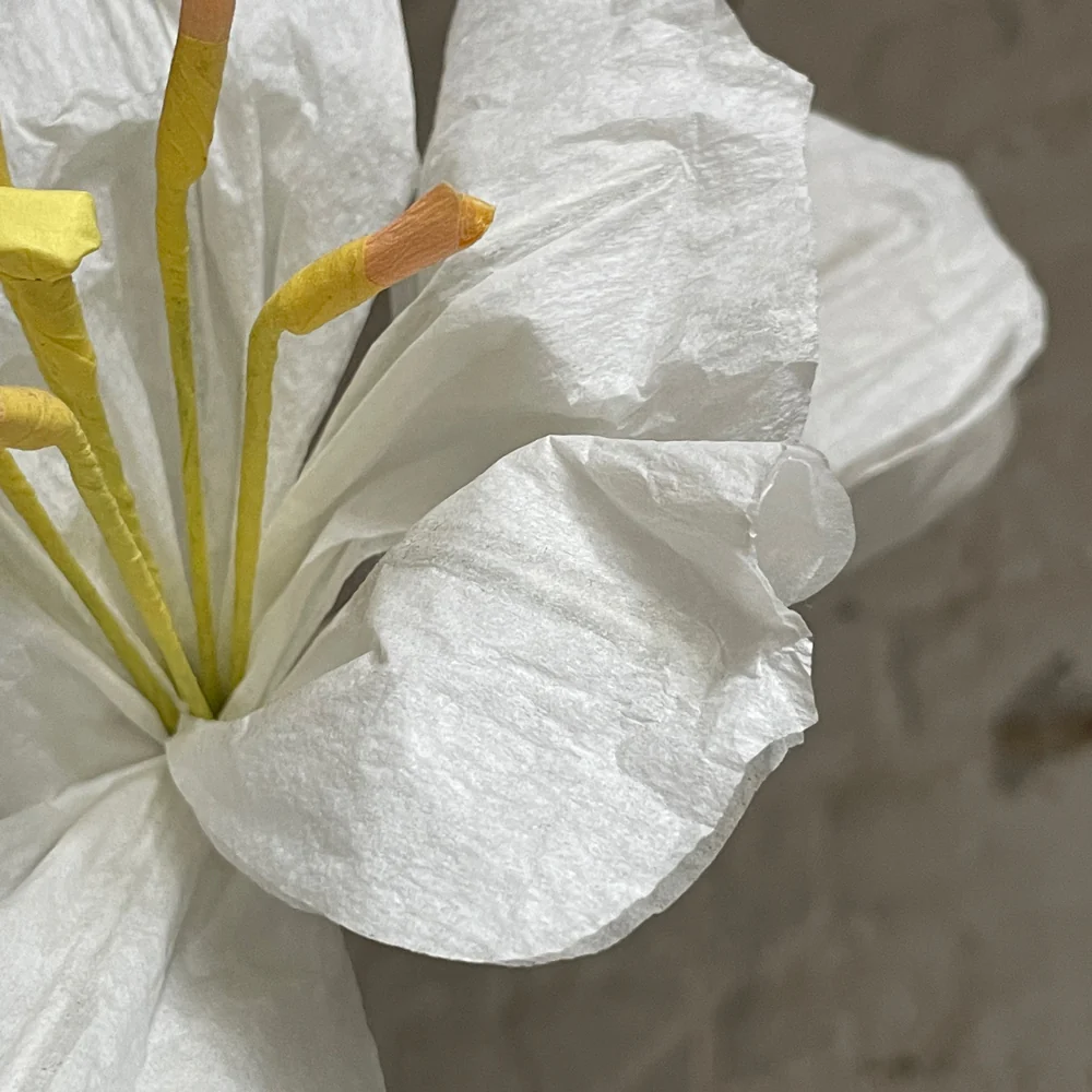 The Green Vase Potted Amaryllis Plant - Image 4