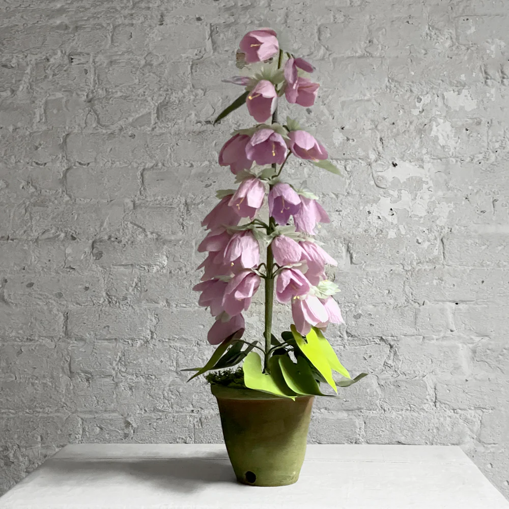 The Green Vase Potted Campanula Plant Vase