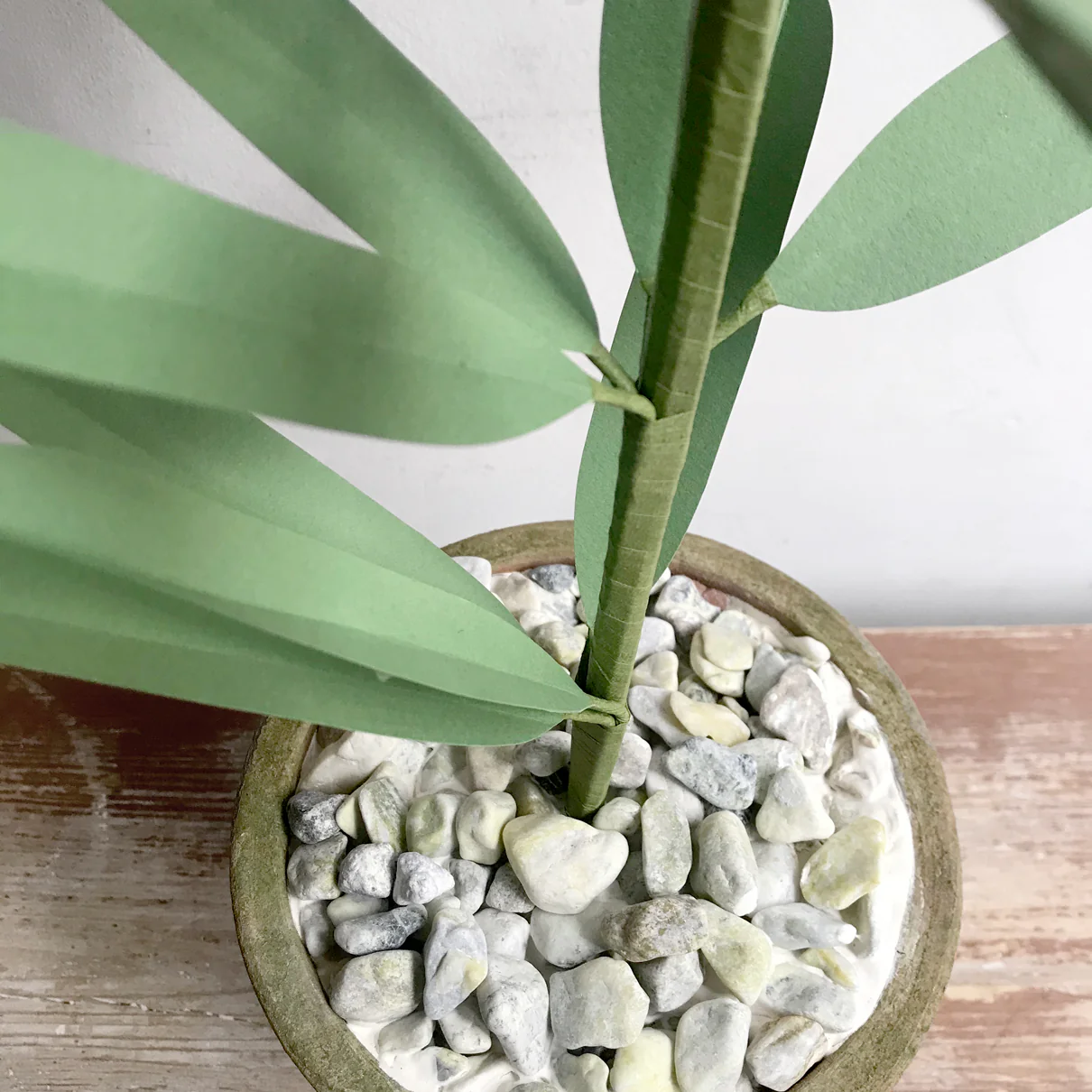 The Green Vase Potted Easter Lily - Image 3