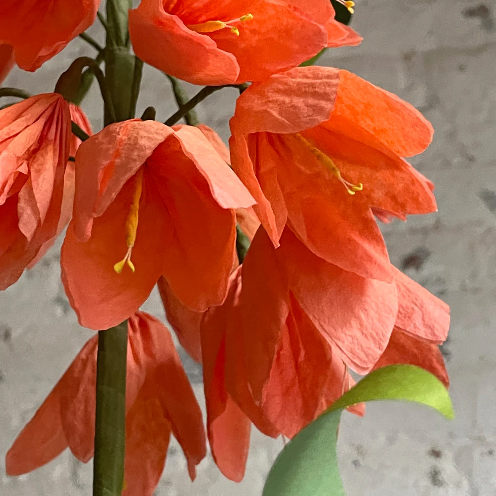 The Green Vase Potted Imperial Fritillaria Plant Vase - Image 2