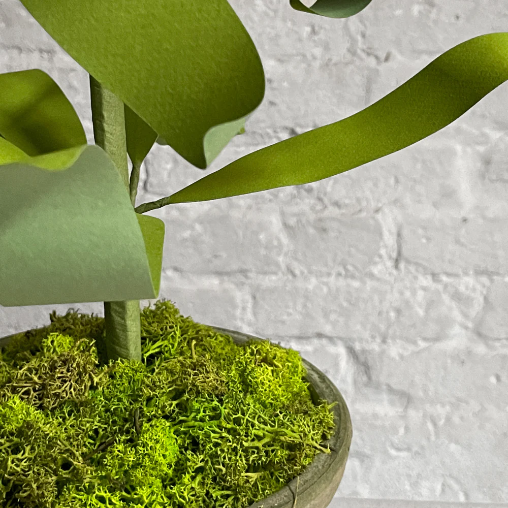 The Green Vase Potted Imperial Fritillaria Plant Vase - Image 3