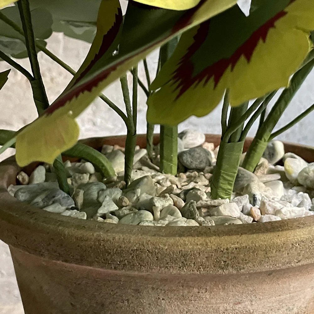 The Green Vase Potted Large Geranium - Image 3
