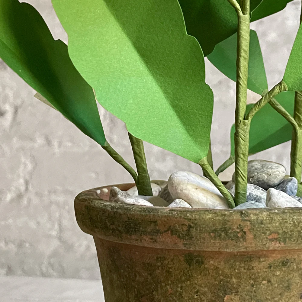 The Green Vase Potted Pansy Plant - Image 3