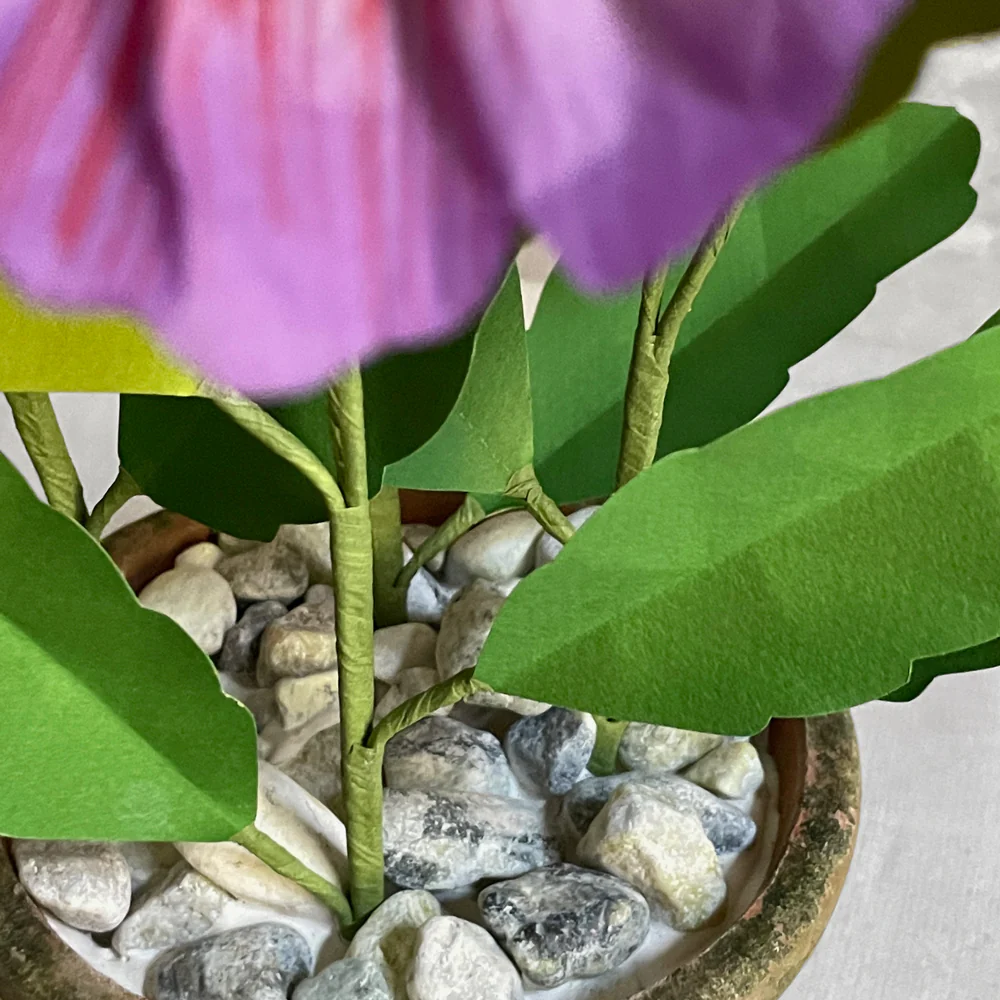 The Green Vase Potted Pansy Plant - Image 4