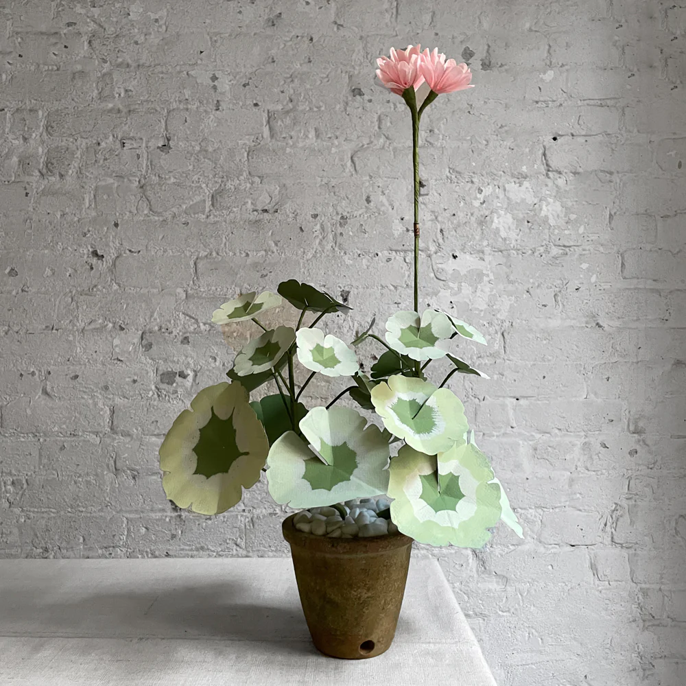 The Green Vase Potted Mini Pink Geranium