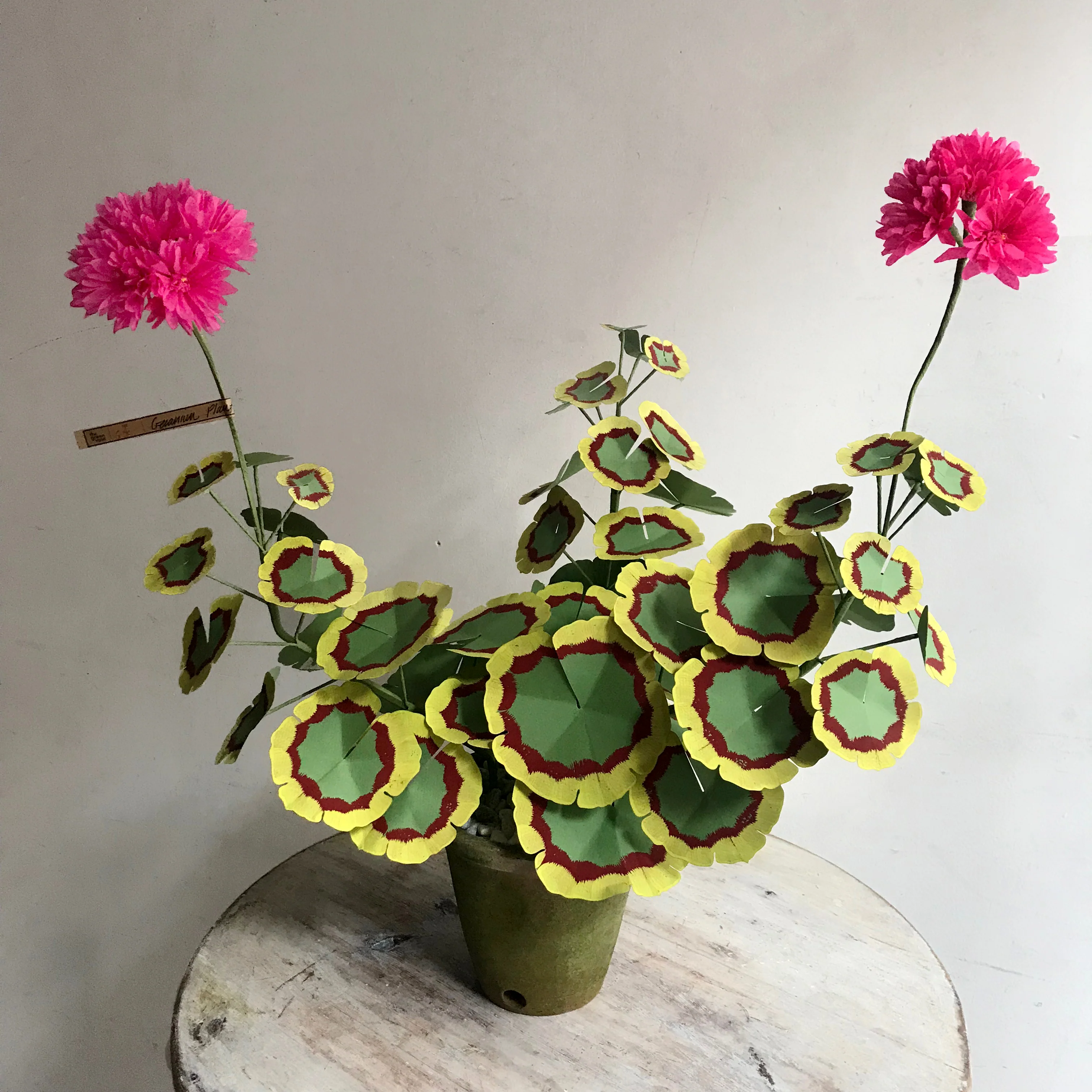 The Green Vase Potted Double Pink Geranium