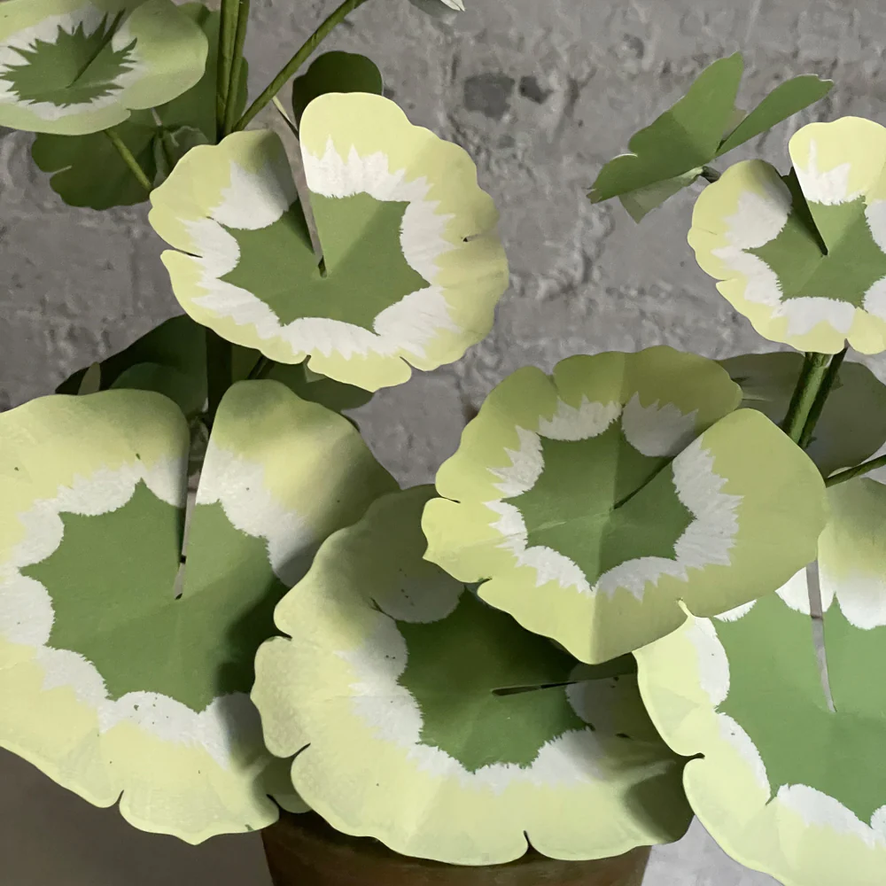 The Green Vase Potted Mini Pink Geranium Plant - Image 2