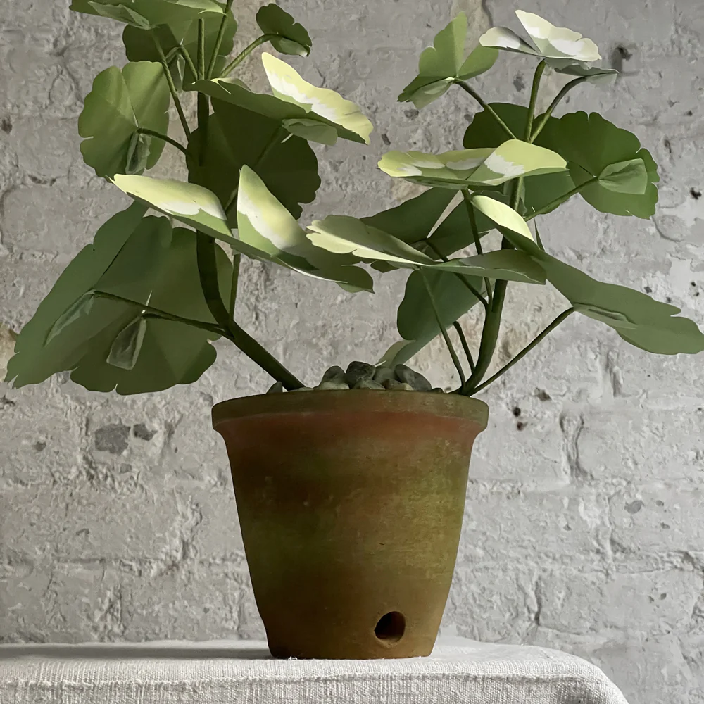 The Green Vase Potted Mini Pink Geranium Plant - Image 3