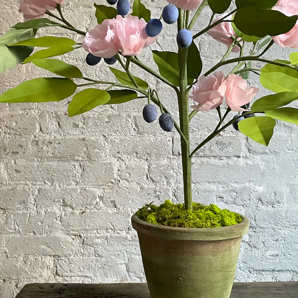 The Green Vase Potted Plum Tree - Image 3