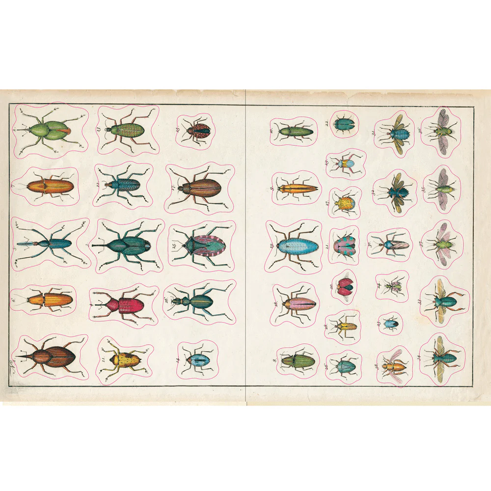 John Derian Sticker Book - Image 4