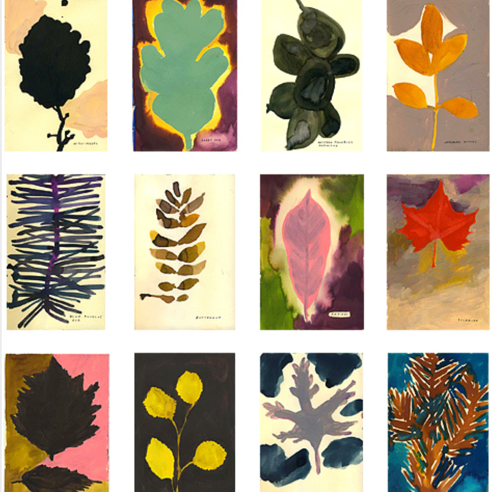 The Native Trees of Canada - Image 2