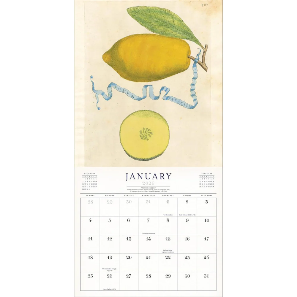 The World of John Derian Wall Calendar 2026 - Image 2