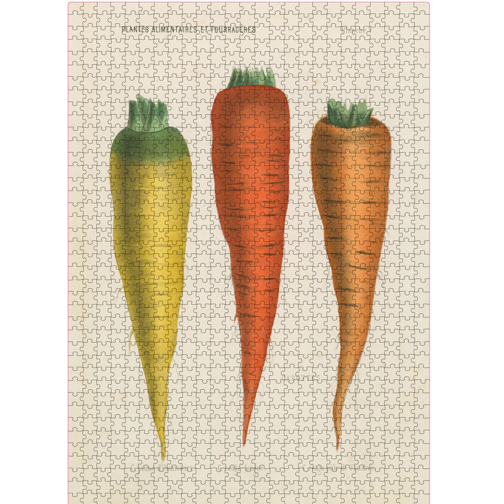 Three Carrots - Image 3