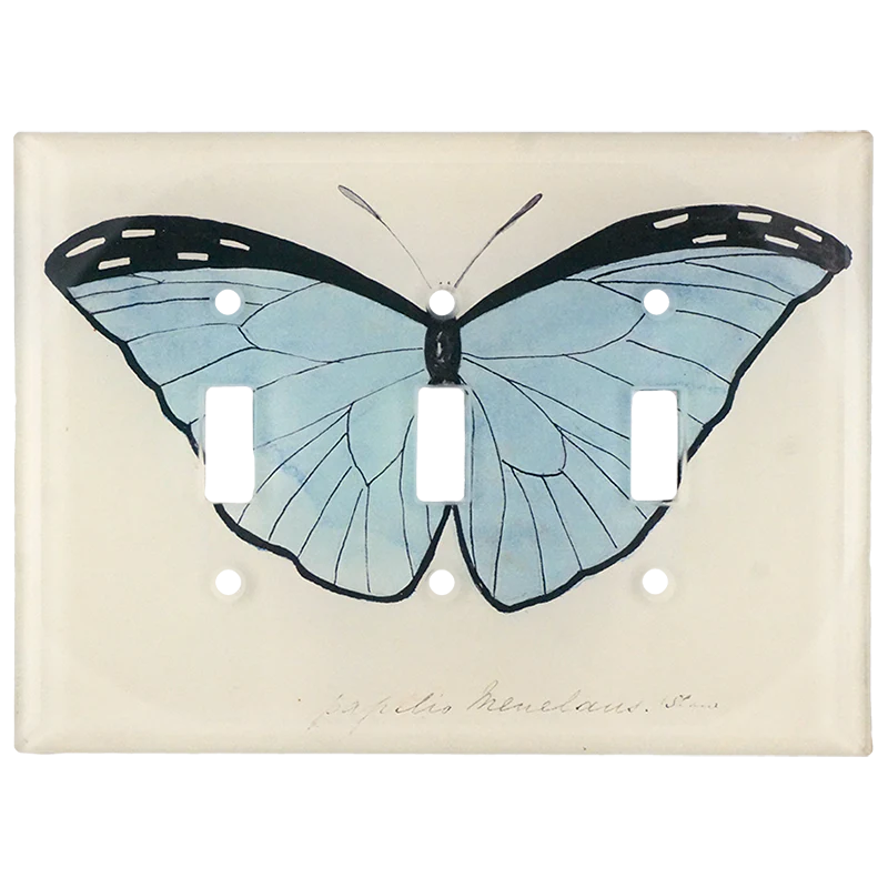 Pale Blue Butterfly